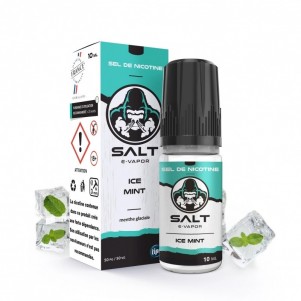 Ice Mint 10ml Salt E-Vapor Le French Liquide