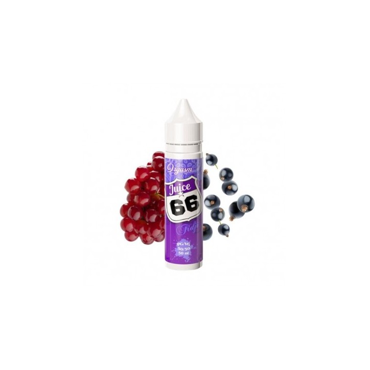 Fidji 50ml - Juice 66