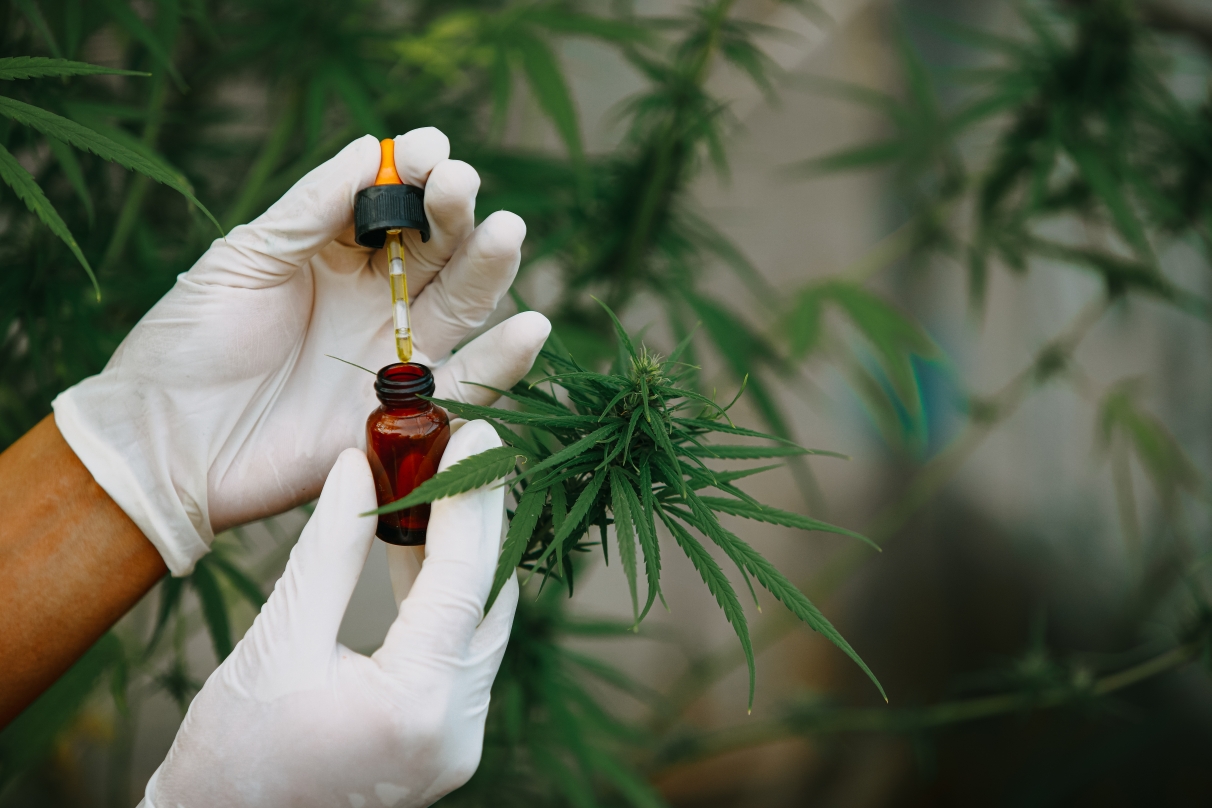 Comment maximiser les effets du CBD ?