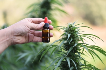 CBD et conduite : Est-ce autorisé ?